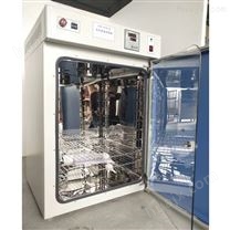 DHG-9076A立式鼓风干燥箱 高温干热烘焙箱