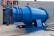 智匠泵业900QZB潜水轴流泵使用特点