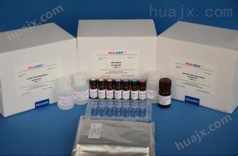 人睾酮elisa检测试剂盒规格