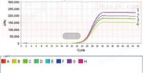 粘附性大肠杆菌PCR检测试剂盒规格