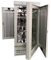 LRH-250-GSI人工气候箱 泰宏恒温恒湿培养箱