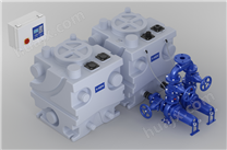 VPS.X.PE1000系列污水提升泵站-外置泵型（双泵）