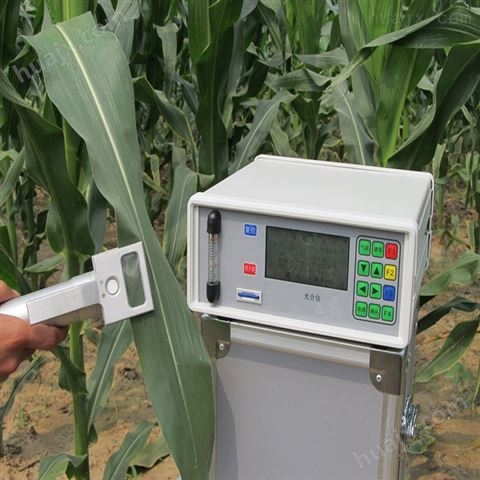 植物蒸腾率检测仪SY-1023蒸腾速率测定仪