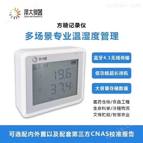 ZDR-20温湿度记录仪液晶双路