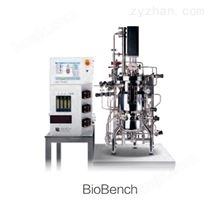 BioBench实验室规模原位灭菌不锈钢罐生物反应器价格