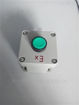 BZA53-A2 急停防爆防腐控制按钮盒