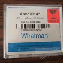 沃特曼whatman氧化铝膜 无机膜孔径0.2um