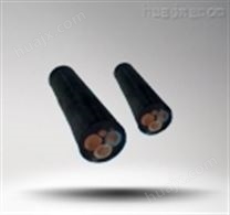 YC-YCW-3X25+1X10橡胶电缆
